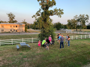 Restaurant review photo