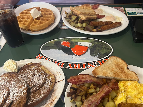 Restaurant review photo