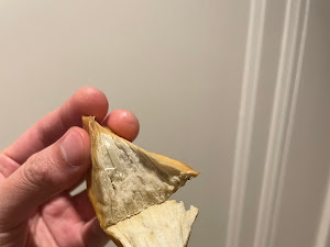 Restaurant review photo