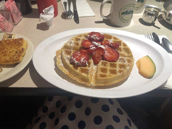 Restaurant review photo