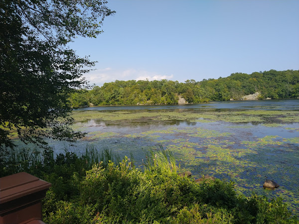 Restaurant review photo