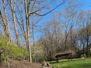 Restaurant review photo