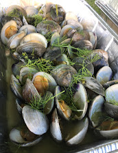 Clam
