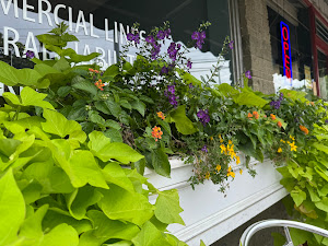Restaurant review photo