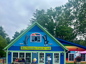 Restaurant review photo